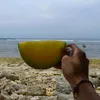 himawaribungamatahari