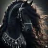 ali5_ahmet