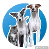 meus_pets0