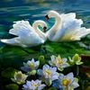 damaris_toala