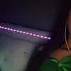 nss_595