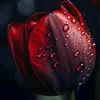 for_lughing
