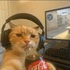 fareez_d