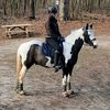 annika_johansen3771