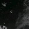 rares_gbr_67