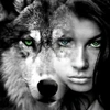 lawlor_wolf