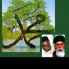 mbossefaye1993dakargmail