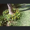 aichabouraoua