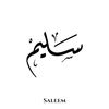 saleem.balheem