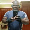 silverback_412