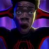 spider_black777