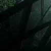 thistledream