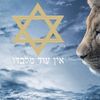 adar.z2