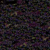 .unknown_user18