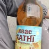 _vensik_