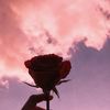 angelain.r