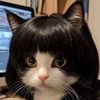 zerokukiki