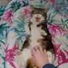 heather_8080