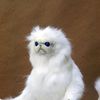 fifiisthebestcat