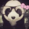 panda_urquide