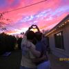lincoln_brookhart