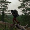 noahsgoods