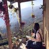 nourahmed29881