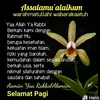 user3307973038379