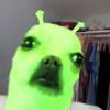 candybutunemployed