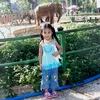 _cchanie
