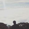 hutan.rimba01