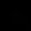 533q