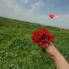 paryamhamad1