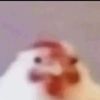 4hd2