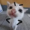 monkeyjutsu