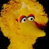 bigbirdofficialaccount