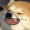 dzung.dun
