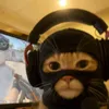 itzz_ayyub1