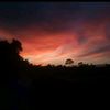 aayushmaghimire03