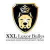 XXL Luxor Bullys