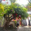 anynhien2103