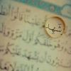 shahd_badwy
