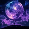 trulady_shallot