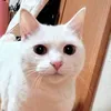 yuukikuw