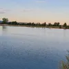 rifi_241