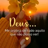 jucosta560