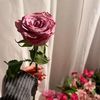 meral_zy