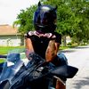 kawi_baby500