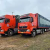 Lập Nguyễn 35