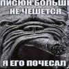 wayenovv